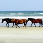 User picture for Kim Galluzzo