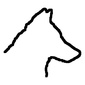 User picture for Michael Wolf