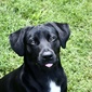 User picture for Gary Hamden