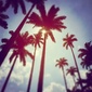User picture for Tibor Kelemen
