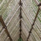 User picture for OENG KIMHUOT
