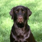 User picture for Ken Massa