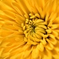 User picture for Kshitij Sharma