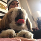 User picture for Joshua Scott