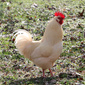 User picture for ROBERT MOSKO