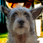 User picture for Marty Beyer