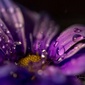 User picture for Doreen Broughm