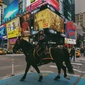 User picture for Lucas Staley