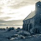 User picture for RAY MCCRYSTAL