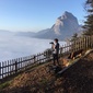 User picture for Janic Wermuth