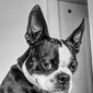 User picture for Geoff Mason