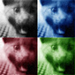 User picture for Amir Jasarevic