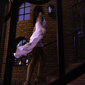 User picture for sam steffanina