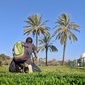 User picture for Yanir RH