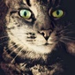 User picture for Rod P