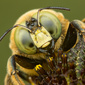 User picture for William Banik