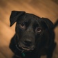 User picture for Scott Doar
