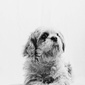 User picture for Jack Thornley