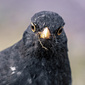 User picture for Daniel Dunderfelt