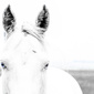 User picture for Justin Armstrong