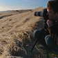 User picture for Matt Tilghman