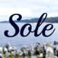 User picture for Brandon Sole