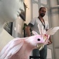 User picture for Loïc Lecomte