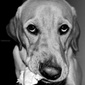 User picture for SEBASTIAN DUCE