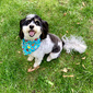User picture for Joanne Sommers