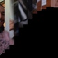 User picture for Thomas Lefotu