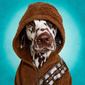 User picture for Bea Burin-Herbst
