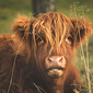 User picture for Chris Marr