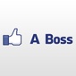 User picture for rahul p