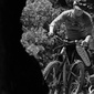 User picture for Hugo Cortes