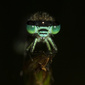 User picture for Paul Flynn