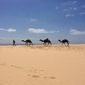 User picture for Sohrab Kalra
