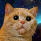 User picture for Phill Holland