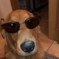 User picture for Xhefri Rich