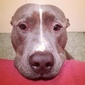 User picture for Jason Snyder