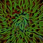 User picture for SRIDIP NAG