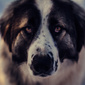 User picture for Catalina Ioan