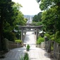 User picture for masafumi tokuhisa