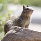 User picture for Marco Axochitlan