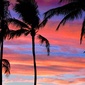 User picture for Max Greene