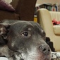 User picture for Adam Syddall