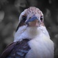 User picture for Bruce Pryde