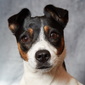 User picture for Barry Stewart