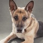 User picture for Jeanie Lewis