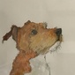 User picture for Mark MC