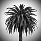 User picture for Garrett Camp